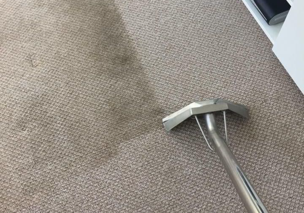 Carpet Cleaners in March Cambridgeshire