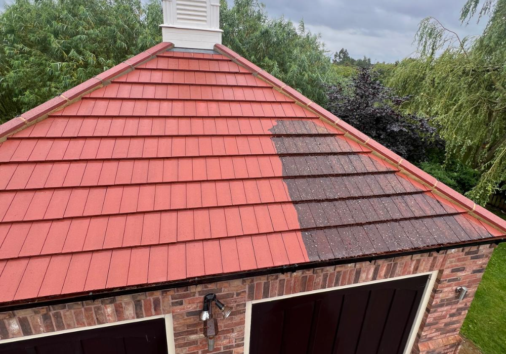 Professional Roof Cleaners