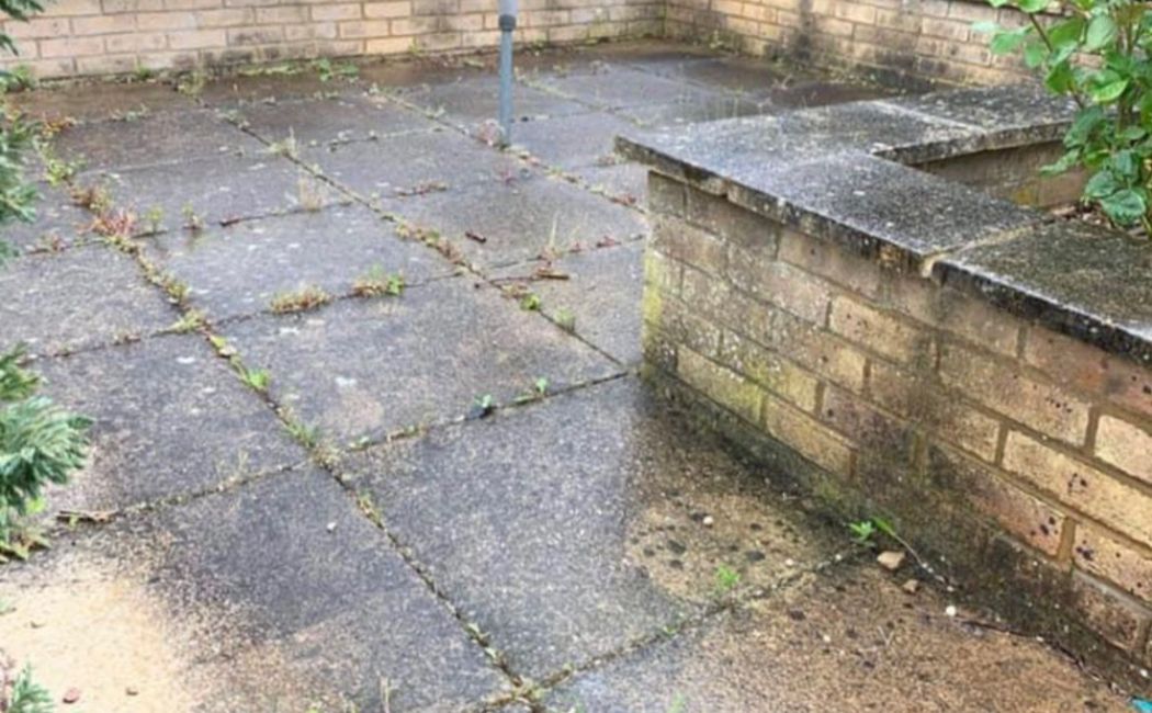 Patio Cleaning Company