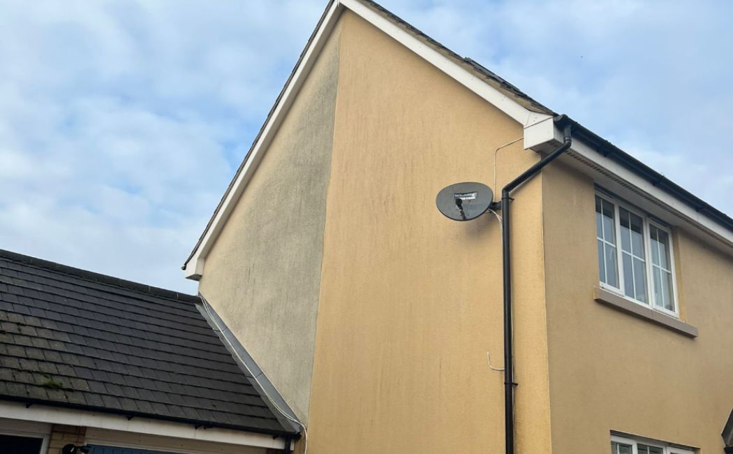 Professional Render Cleaners