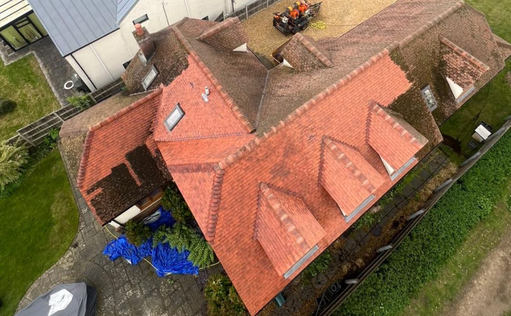 Roof Cleaning Company