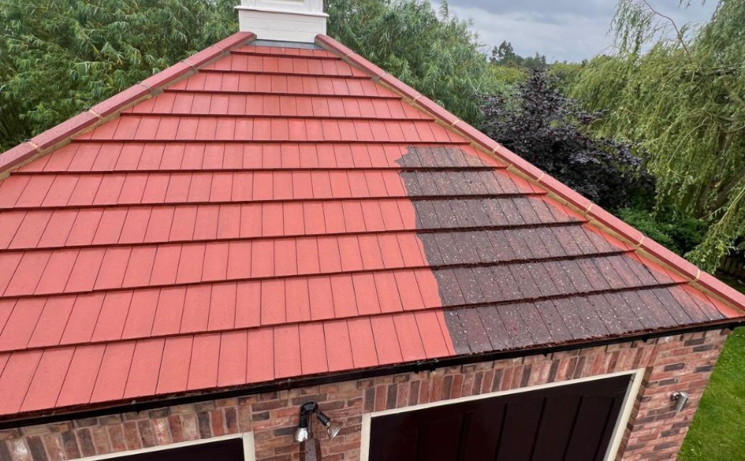 Professional Roof Cleaners