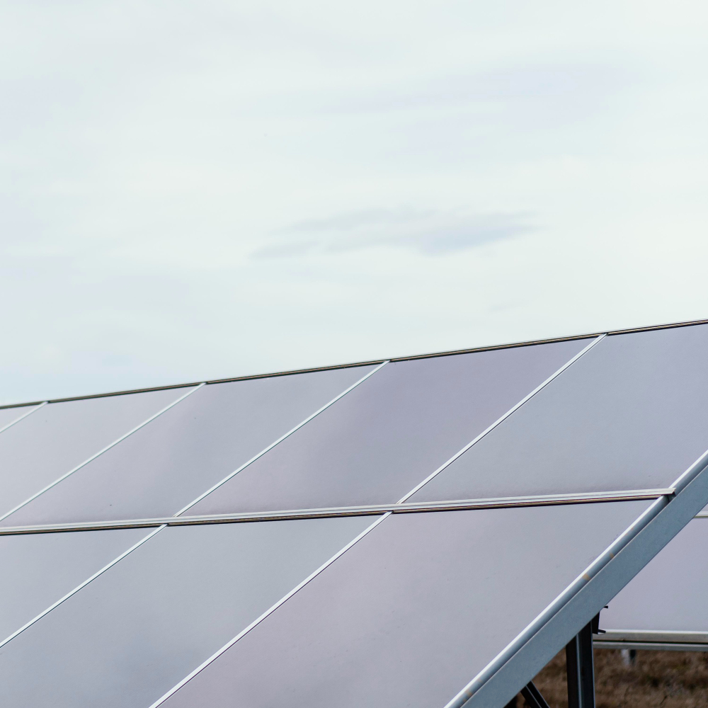 Solar panel cleaning