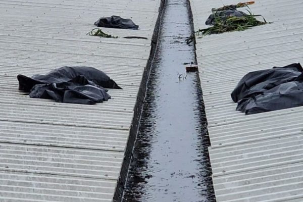 Homepage - Service - Commercial Gutter Cleaning
